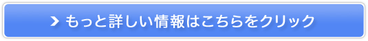 レッドゾーンEX販売サイトへ