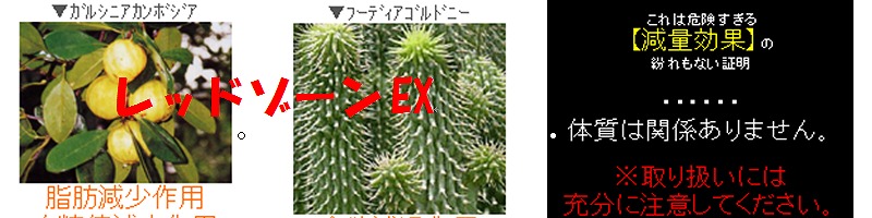 ���b�h�]�[��EX���T�C�g